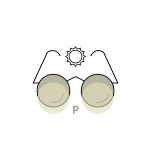 Polarised Lenses