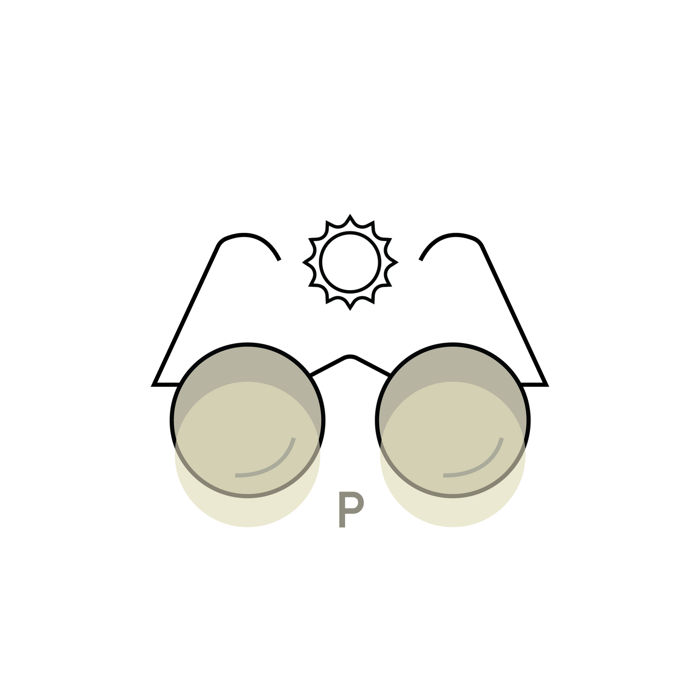 Polarised Lenses